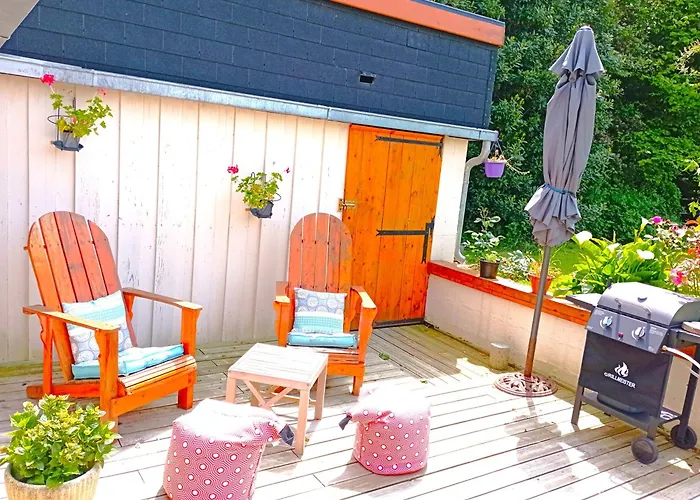 Les Hirondelles - Bord De Et Campagne * Tracy-sur-Mer