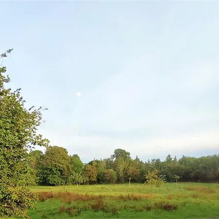 Les Hirondelles - Bord De Et Campagne Tracy-sur-Mer
