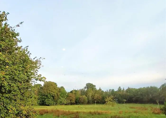 Les Hirondelles - Bord De Et Campagne Tracy-sur-Mer